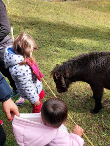 Holzeralm Familienhotel Huber