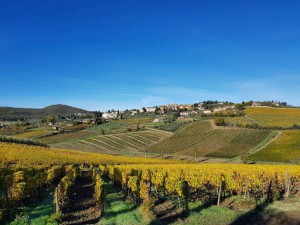 Colle Bereto Azienda Agricola