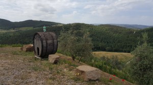 AZIENDA AGRICOLA ALTIERO