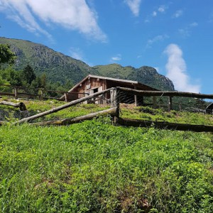 Agritur La Sabbionara