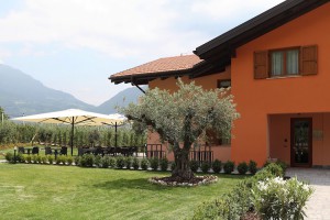 Agriturismo Maso Miri