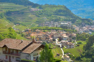 Agriturismo Maso Pomarolli