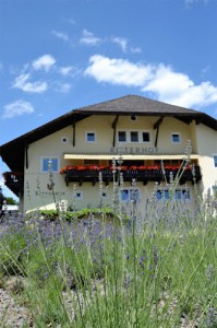 Ritterhof Weingut - Tenuta