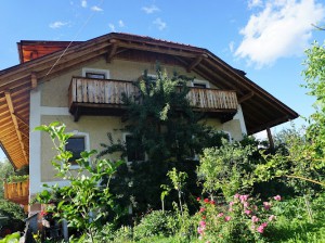 Pittola - Urlaub auf dem Bauernhof - Agriturismo