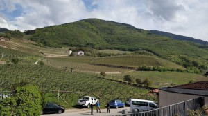 Azienda Agricola Bellaveder di Luchetta Tranquillo