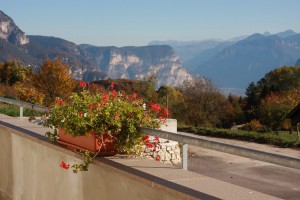 Agriturismo Girasole