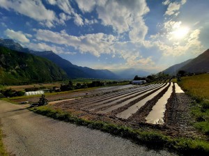 Azienda agricola Ai Masi