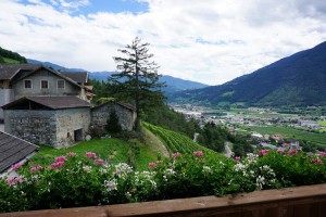 Obst & Weingut Bühlerhof