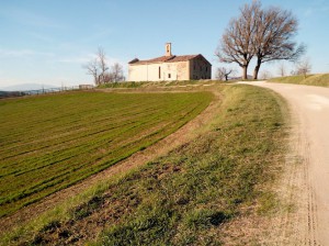 Agriturismo Biologico Pieve del Colle- Fattoria Didattica