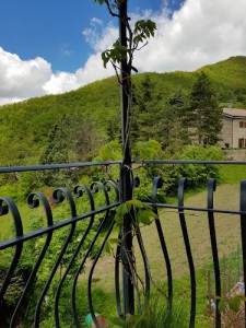 Agriturismo Jostaria