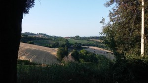 Ristorante Settimo Cielo Carlino