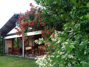 Agriturismo Il Rifugio