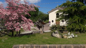 Agriturismo Country House e Ristorante Re Artu'