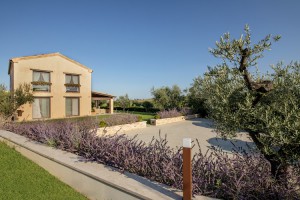 Agriturismo Collelago