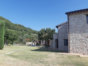 La Collina Degli Olivi Fossombrone