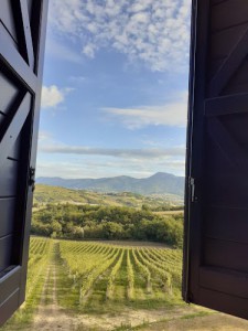 Tenuta Grimaldi Wine Resort (Soc. Agr. Terra di Mondo srl)