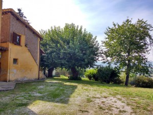 Anthoria B&B - monolocale tra le colline marchigiane