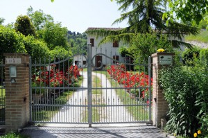 B&B Sasso fiorito