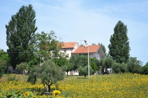 LE PIUME B&B