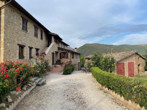 La Collina Dei Ciliegi