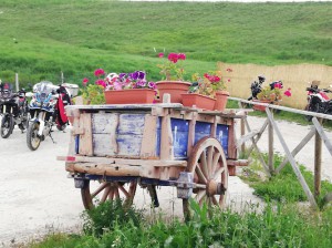 Agriturismo Il Sentiero delle Fate di Coccia Sara