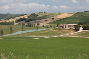 Azienda Agricola Terra e Sole