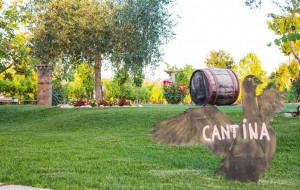 Azienda Agricola Mariotti Cesare