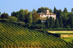 Marotti Campi - Vitivinicoltori Azienda Agricola Giovanni E Francesca Marotti