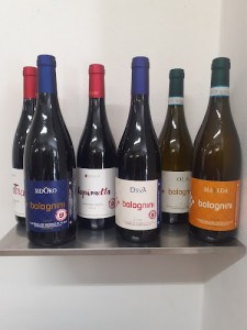 Cantina Stefano Bolognini