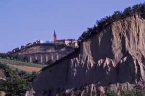 Azienda Agricola Mestechì