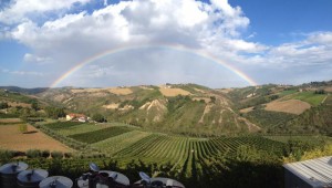 Azienda Agricola Vitivinicola D'Angelo