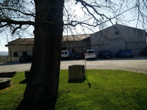 Azienda Agricola Saladini Pilastri Saladino