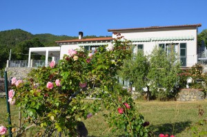 Gaia e Levante B&B