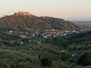 Agriturismo La Sarticola