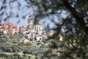 Novaro Sapori - Azienda Agricola di Nicola Novaro