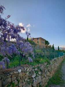 Terre Bianche