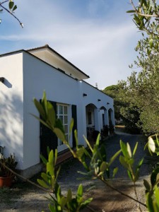 B&B L'antico Ulivo Celle Ligure