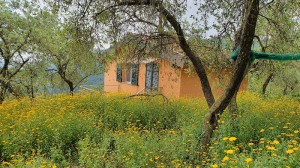 Agriturismo il Monte