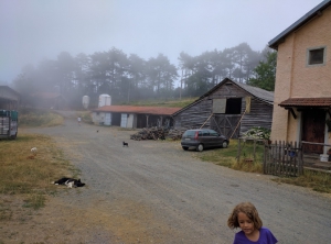 Azienda Agricola I Piani