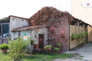 Agriturismo Bace La Spezia