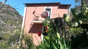 Agriturismo Il Brucaolivo - Monterosso al Mare Cinque Terre Liguria