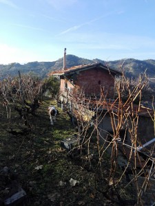 Agriturismo Il ferro di cavallo