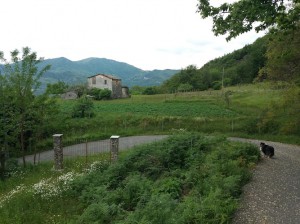 Ristorante Al Peccato di Gola