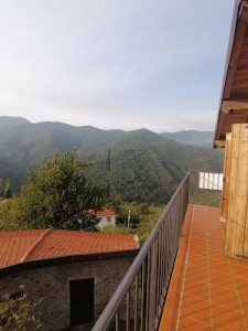 B&B La grande foresta