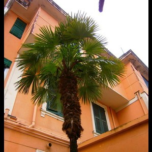 Albergo La Tavernetta