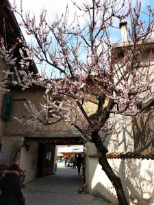 Enoteca di Bertiolo