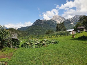 La Vecchia Scuola