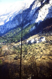 Trattoria Campo Base Alpi Giulie di Della Mea Daniele