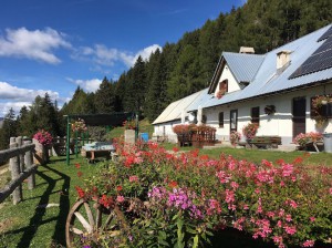 Agriturismo Malga Poccet