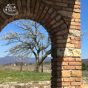 Borgo dei Sapori di Irene Cencig - Agriturismo e Vino Biologico